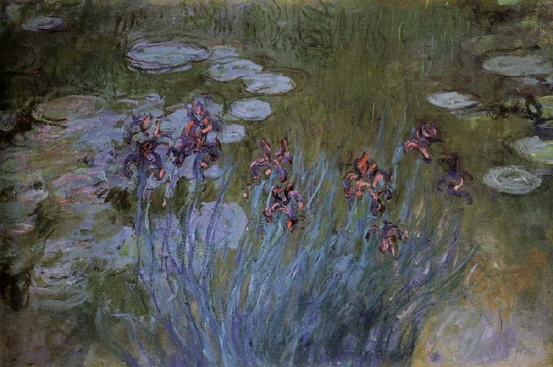 Claude Monet Irises and Water Lillies